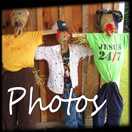 Blog