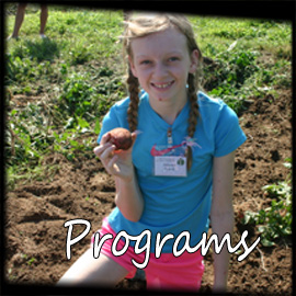 Programs